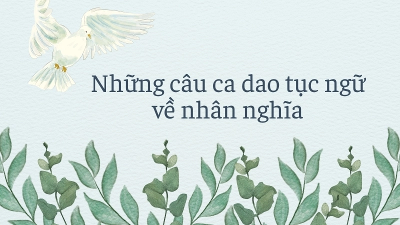 Những câu ca dao tục ngữ về nhân nghĩa