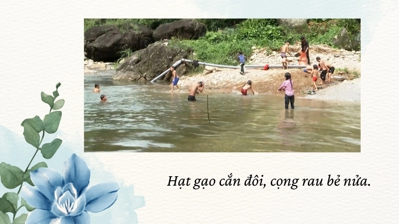 Hạt gạo cắn đôi, cọng rau bẻ nửa.