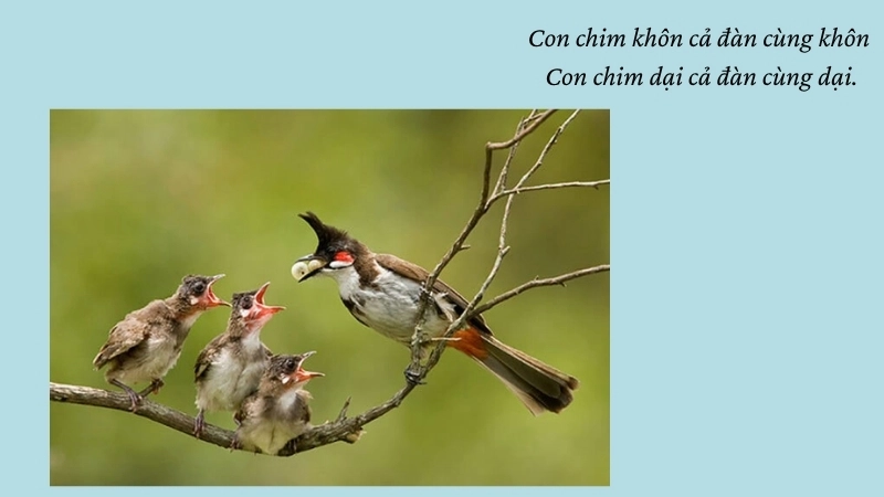 Con chim khôn cả đàn cùng khôn Con chim dại cả đàn cùng dại