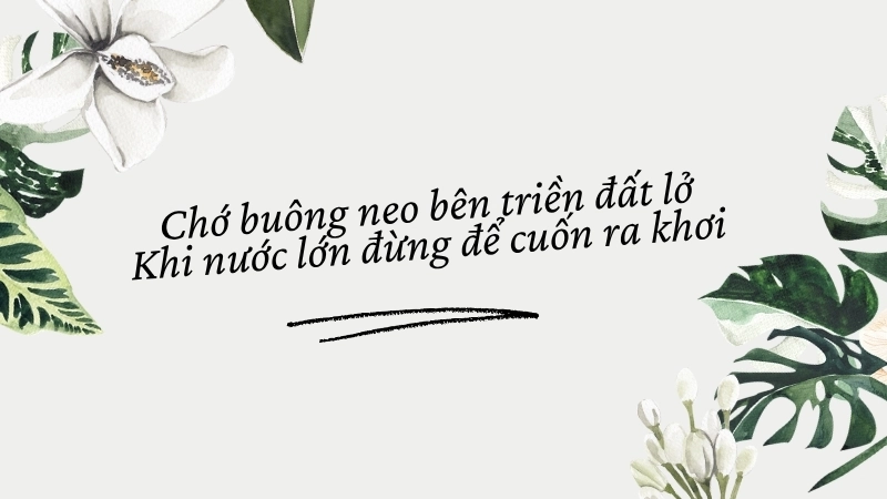  Chớ buông neo bên triền đất lở Khi nước lớn đừng để cuốn ra khơi
