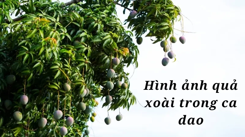 Hình ảnh quả xoài trong ca dao