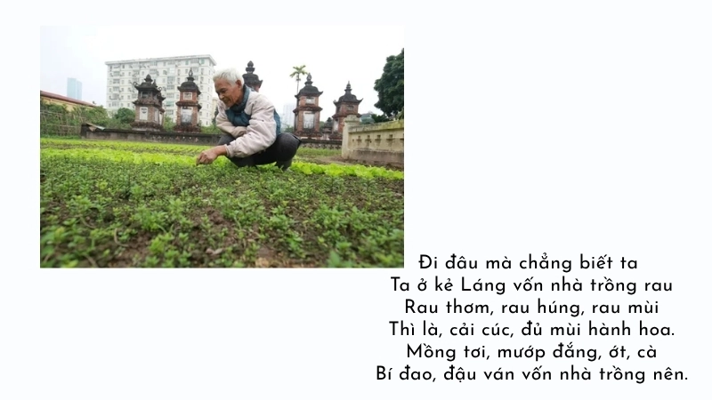 Đi đâu mà chẳng biết ta Ta ở kẻ Láng vốn nhà trồng rau
