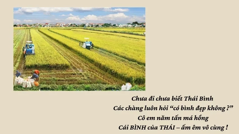 Chưa đi chưa biết Thái Bình Các chàng luôn hỏi “có bình đẹp không ?