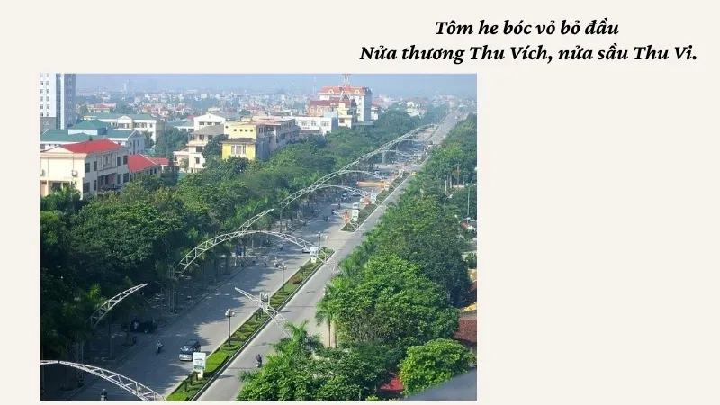 Tôm he bóc vỏ bỏ đầu Nửa thương Thu Vích, nửa sầu Thu Vi