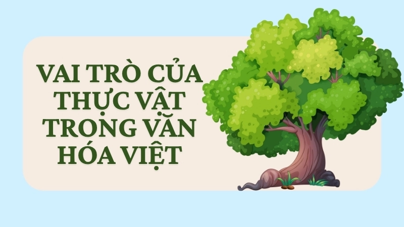 Vai trò của thực vật trong văn hóa Việt