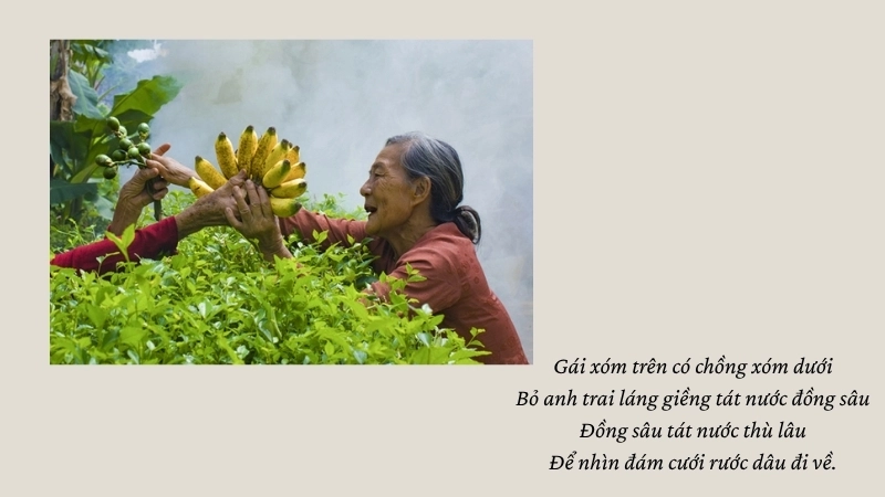  Gái xóm trên có chồng xóm dưới Bỏ anh trai láng giềng tát nước đồng sâu