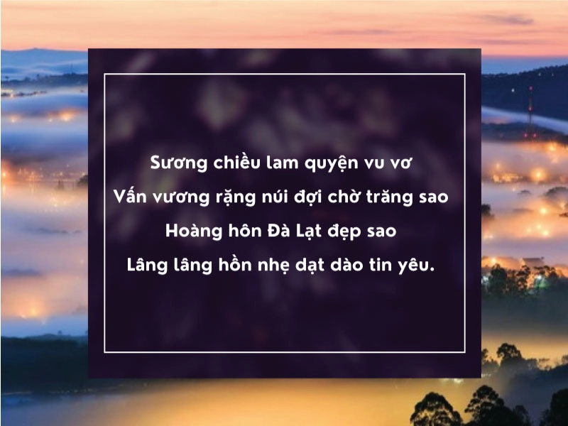 Lá thôi rơi kết thúc mùa thu tại Đà Lạt