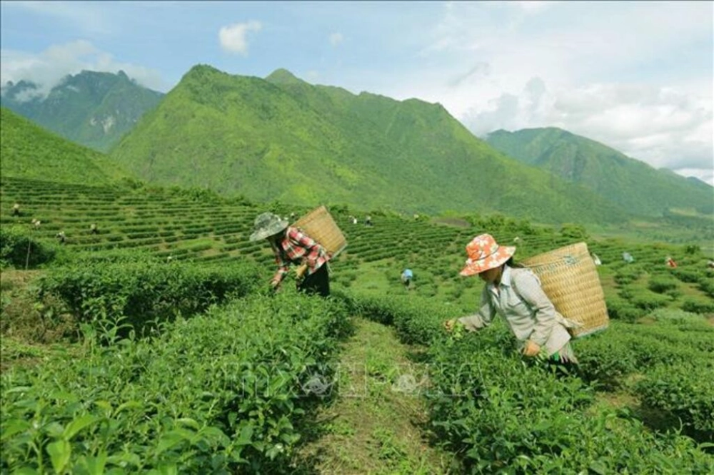 Đắk Nông một tình yêu giữa đại ngàn gió hú