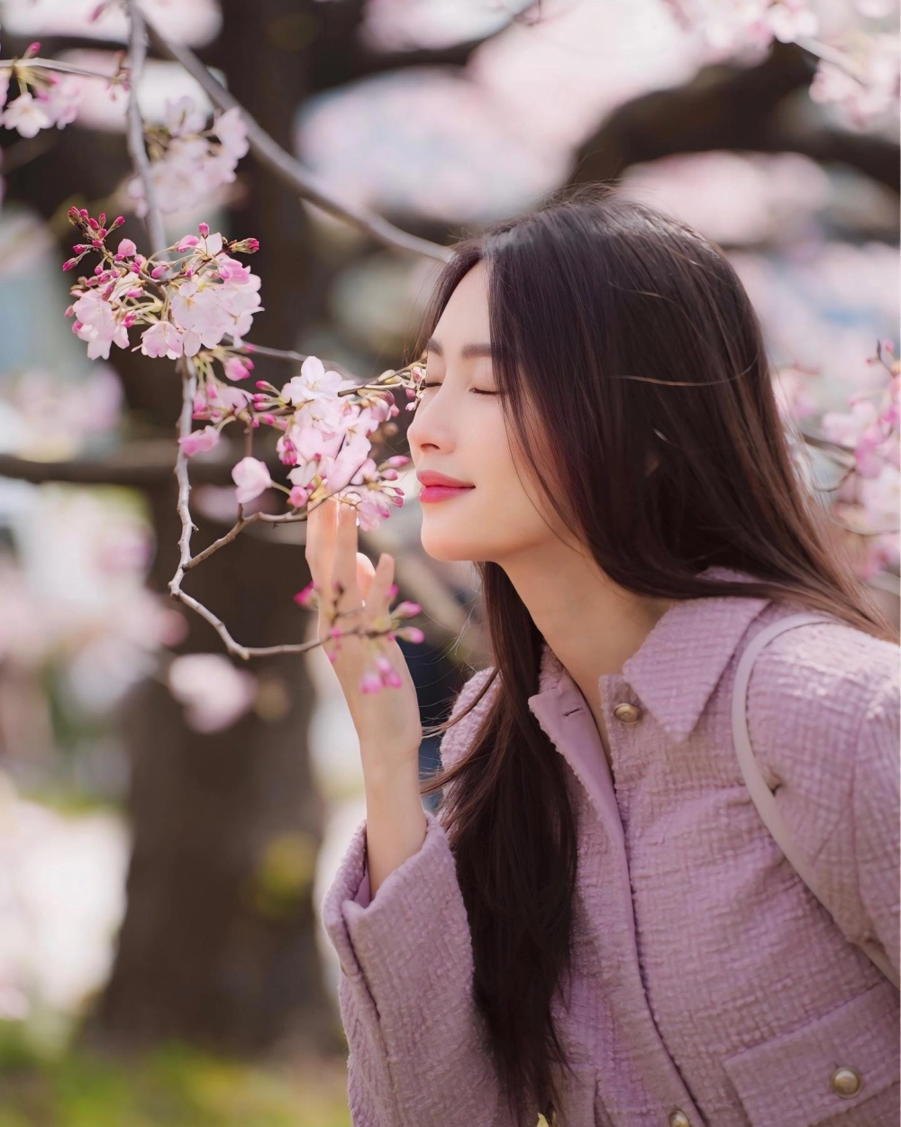 Tiểu sử Hoa Hậu Đặng Thu Thảo sinh 1991 Bạc Liêu 1m73 Việt Nam 2012 