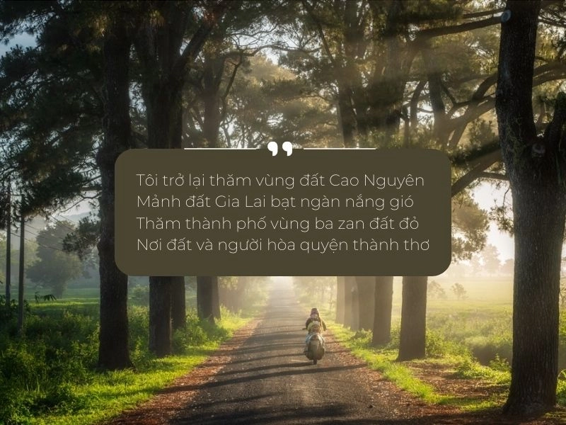 Một vần thơ thủ thỉ gọi về Gia Lai bình yên