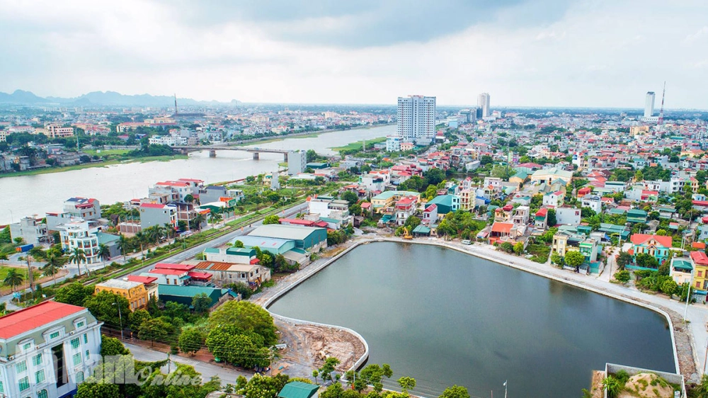 Phủ Lý tháng hai rực rỡ hoa đào bên dòng sông Đáy