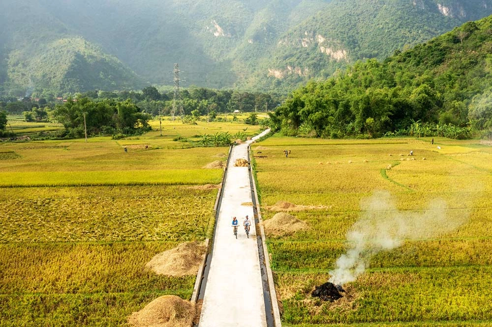 Khám phá vui tươi Chơi Hòa Bình