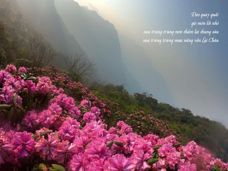Thầm tự hào nhìn dáng núi quê mình