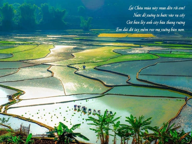 Lối xưa còn in bàn chân hóa đá