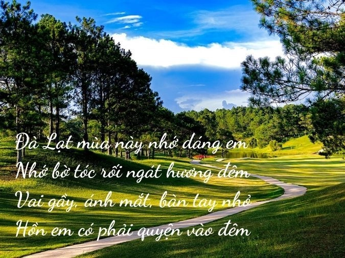 Đà Lạt trong tôi là một khoảng trời xanh mướt