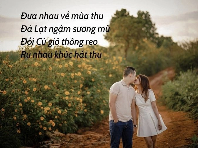 Nhớ nhau hoài như nhớ rừng thông xanh lá