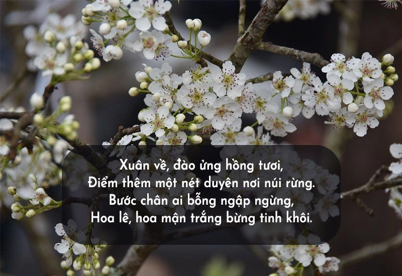 Quê Lạng tôi bình dị mà ấm nồng tình quê xứ sở