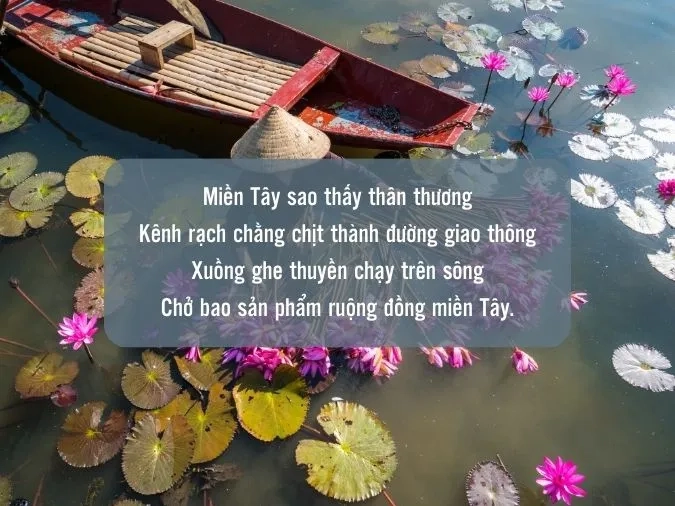 Bến sông gợi về miền Tây nỗi nhớ êm đềm