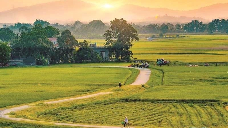 Thơ mộc mạc đượm hương quê