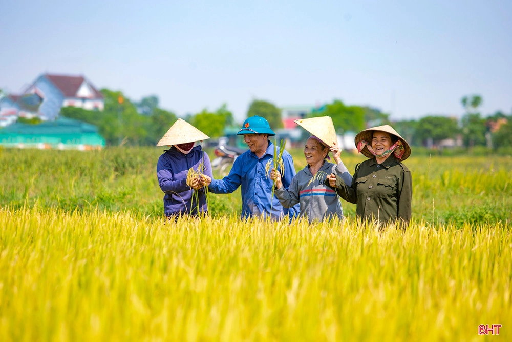 Tình thơ trao gửi bạn người Nghệ Tĩnh