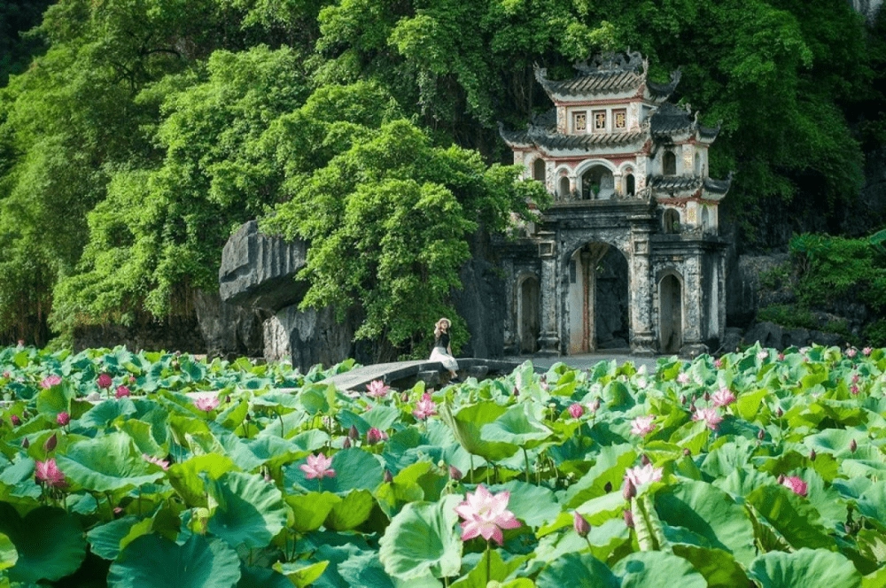 Rủ rê bằng Thơ về Ninh Bình Về Ninh Bình đi em