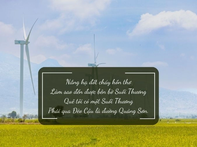 Tôi yêu Ninh Thuận bởi sắc nắng vàng và tình người