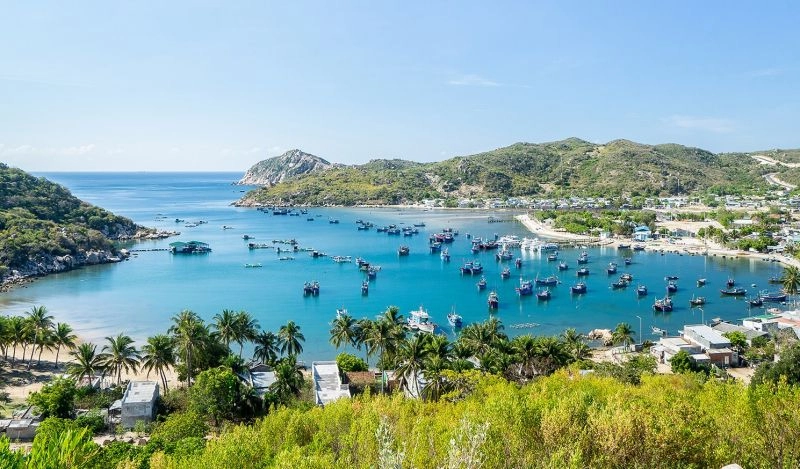 Hương quê thoảng trong nắng Ninh Thuận chiều lặng