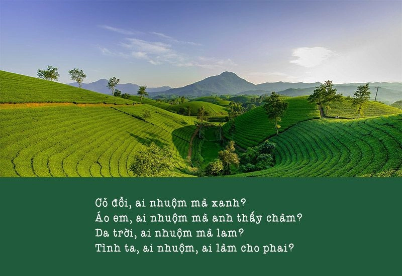 Chút tình tha thiết mời về Phú Thọ hôm nay