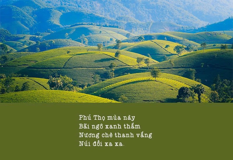 Gửi thương nhớ lại bè bạn một vùng đồi xa