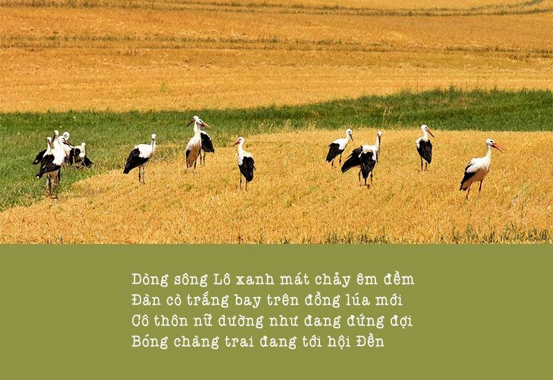 Chẳng thể rời xa yêu lắm Phú Thọ ơi chan hòa