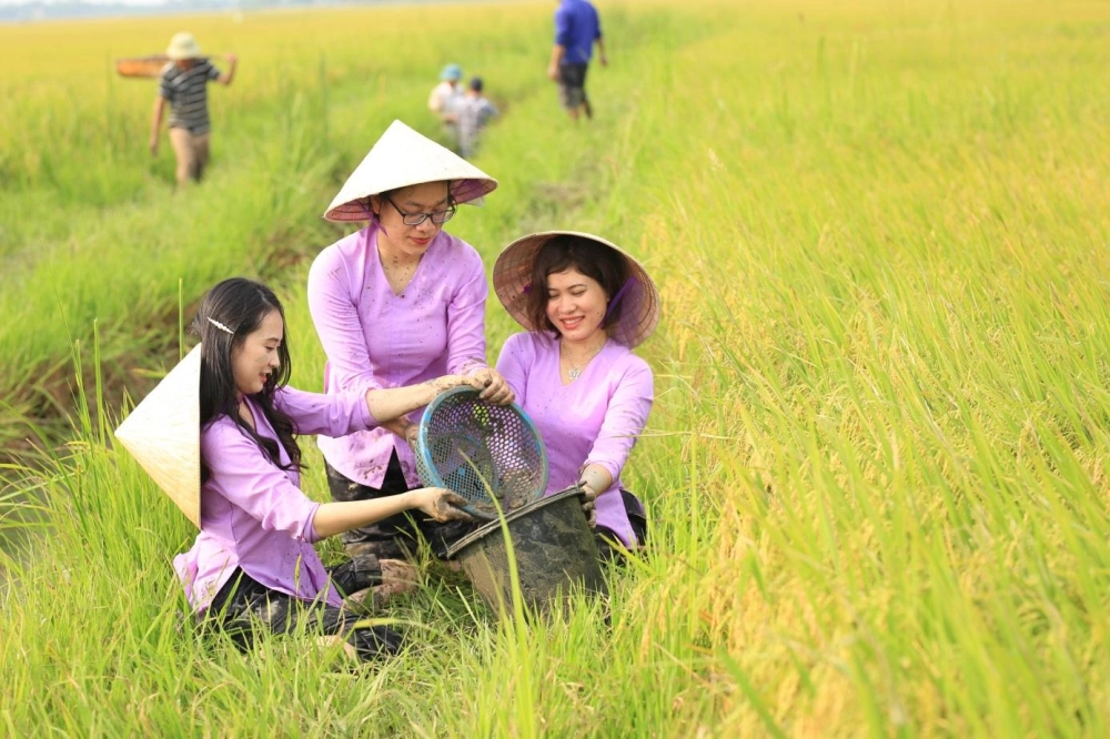 Về Quảng Trị cùng em tay trong tay đi giữa lịch sử