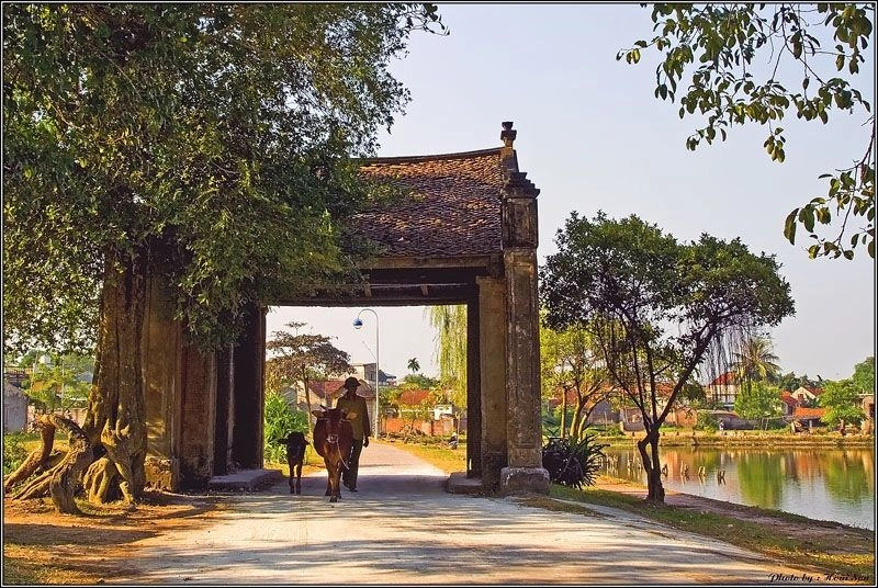 Làng cổ Đường Lâm cổ kính với mái ngói nâu rêu phong