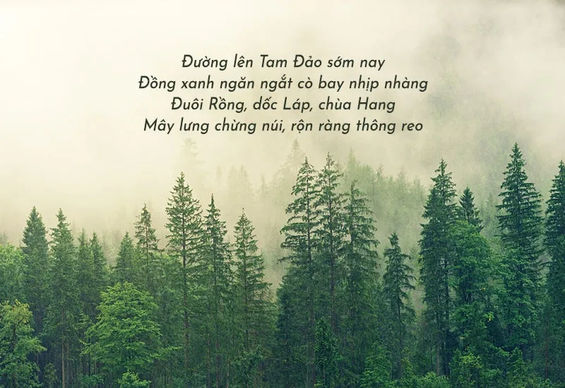 Nơi mây trời quyện bóng Tam Đảo mộng mơ