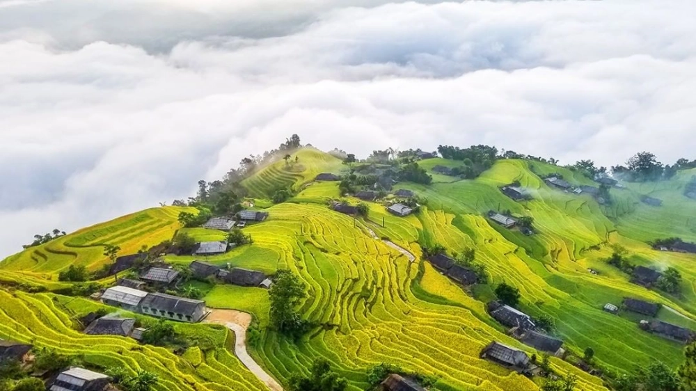 Vần thơ tình vương trong tình mây núi bồng bềnh