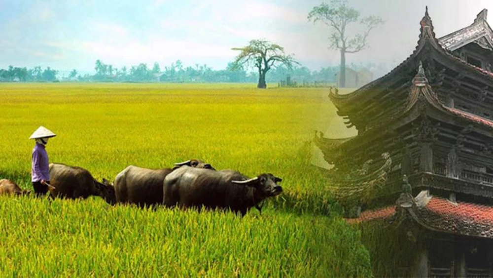 Gợi bao kỷ niệm nét quê Thái Bình dịu dàng