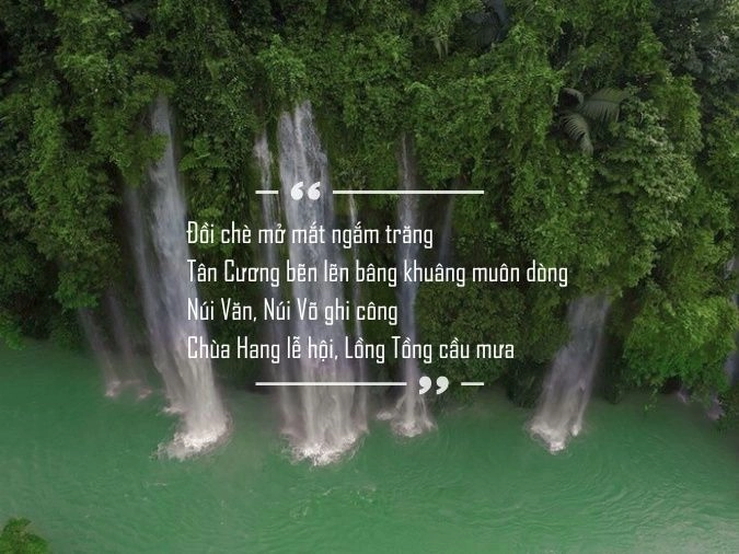 Trà thơm giục giã mời bạn về Thái Nguyên chơi