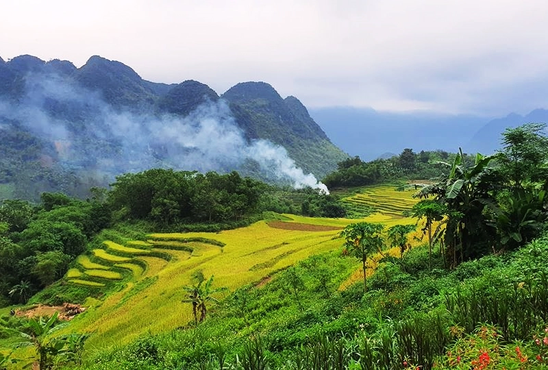 Gửi thương về quê tôi Thanh Hóa