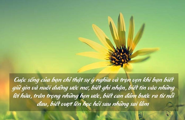 Bài thơ về nghị lực sống Niềm tin và động lực