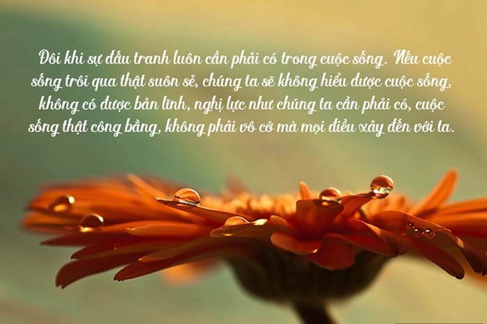 Bài thơ về nghị lực sống chọn điều Giản đơn