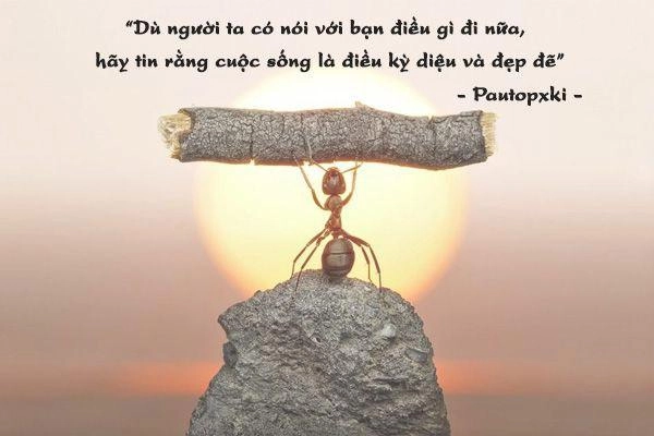 Bài thơ về nghị lực sống vì Cuộc đời vẫn đẹp sao