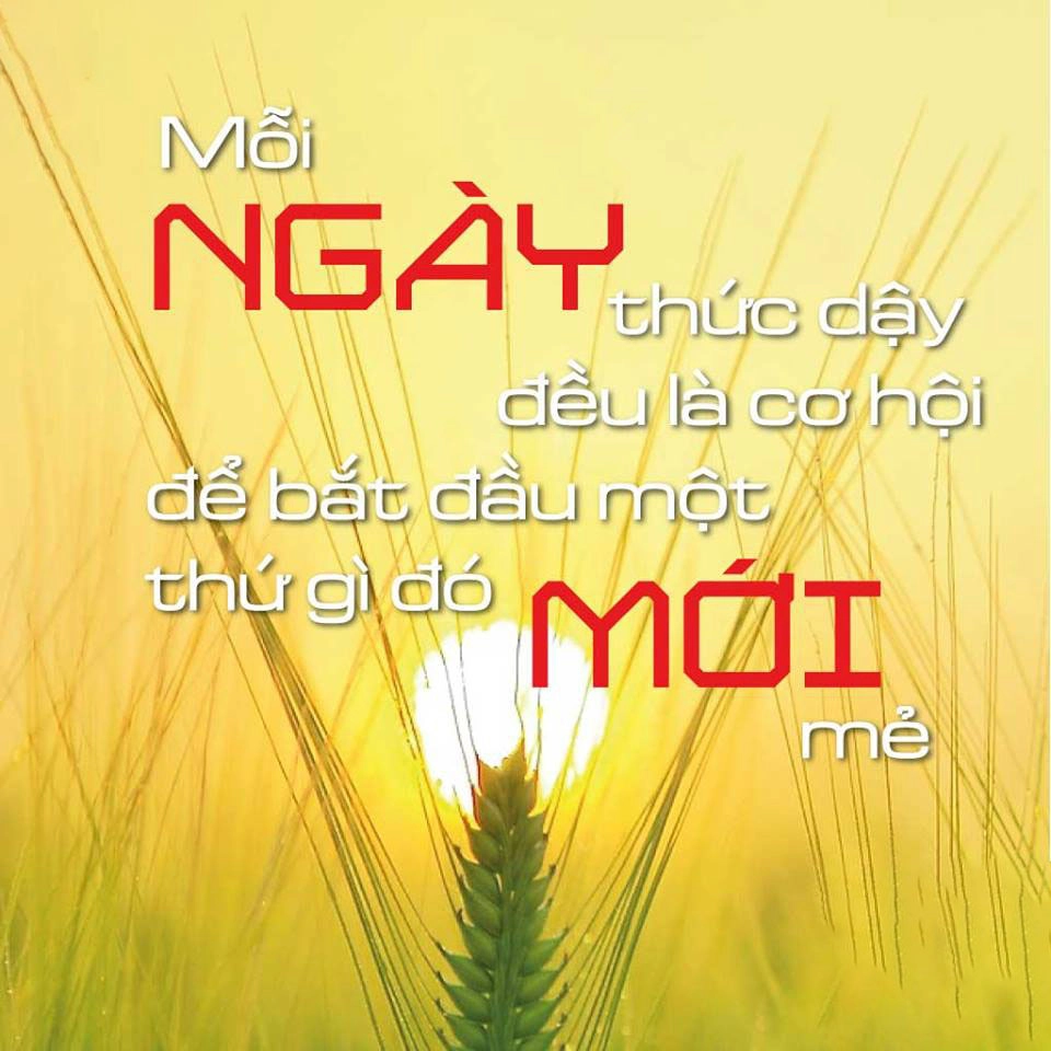 Bài thơ về nghị lực sống khẽ nói Hãy sống