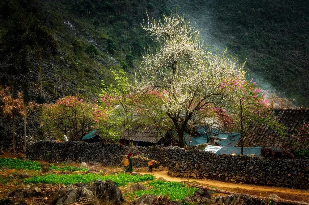 Mây trôi qua Hà Giang ơi Hà Giang nhớ lắm