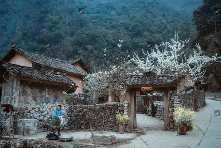 Nắng trải dài trên đá ở Mèo Vạc