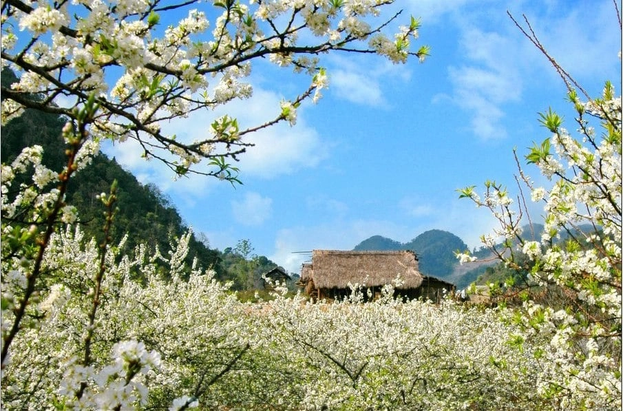 Em thì thầm gió hát mời anh lên Tây Bắc