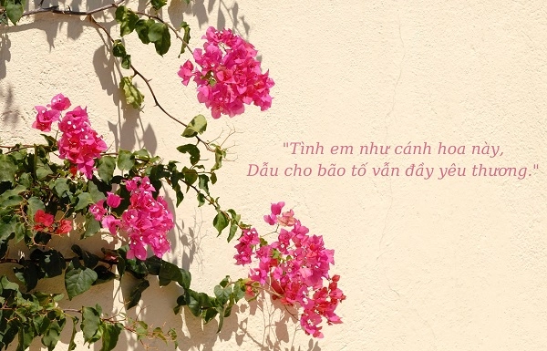 Khoảnh khắc giữa đời đơn giản nên thơ nhẹ nhàng