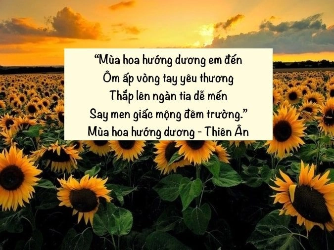Lá rơi nhẹ nhàng mùa thu trong anh