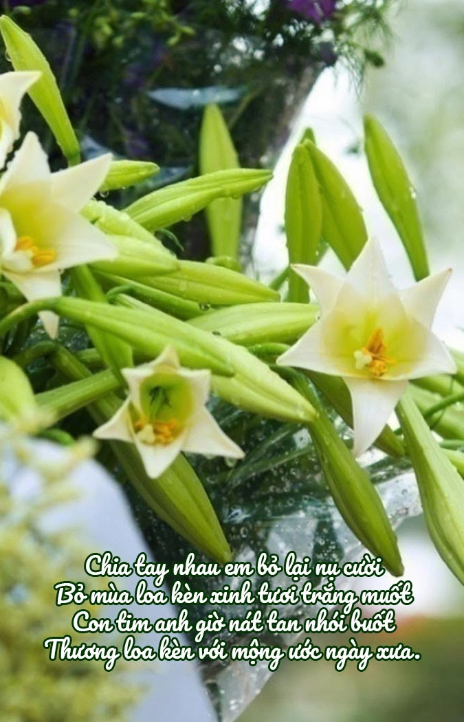 Hoa tháng tư vẽ nên những bài thơ về hoa loa kèn thanh khiết