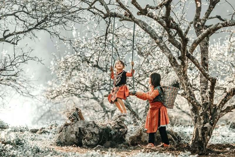 Ngập trắng hoa mận trong câu về Mộc Châu với em