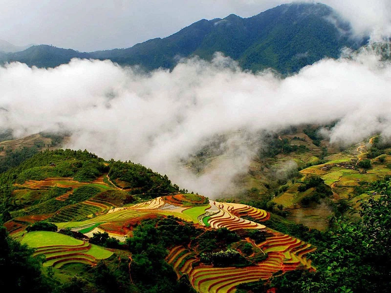 Sương phủ mây trôi Tiên cảnh Sapa