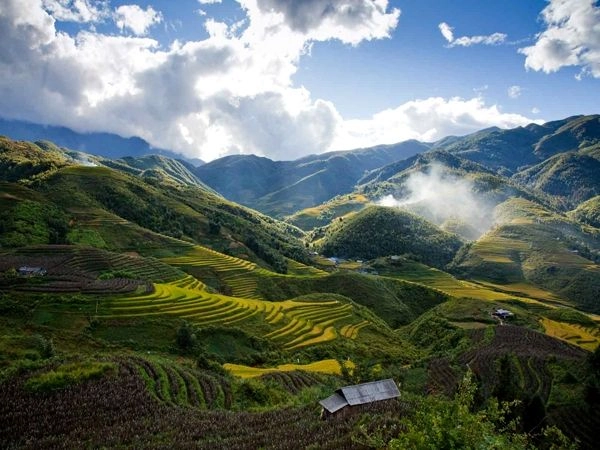 Gìn giữ xanh ngát Chớ để mất rừng